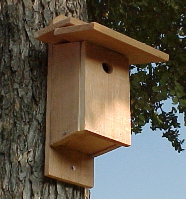 Birdhouse