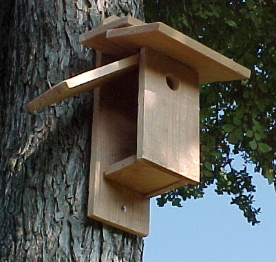 Birdhouse