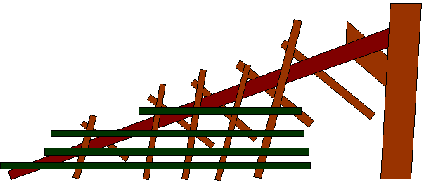 Backbone with ribs and slats