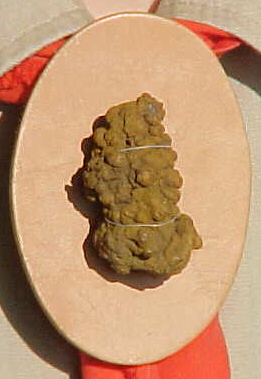 Coprolite (25 million year old poop