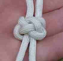 Friendship Knot